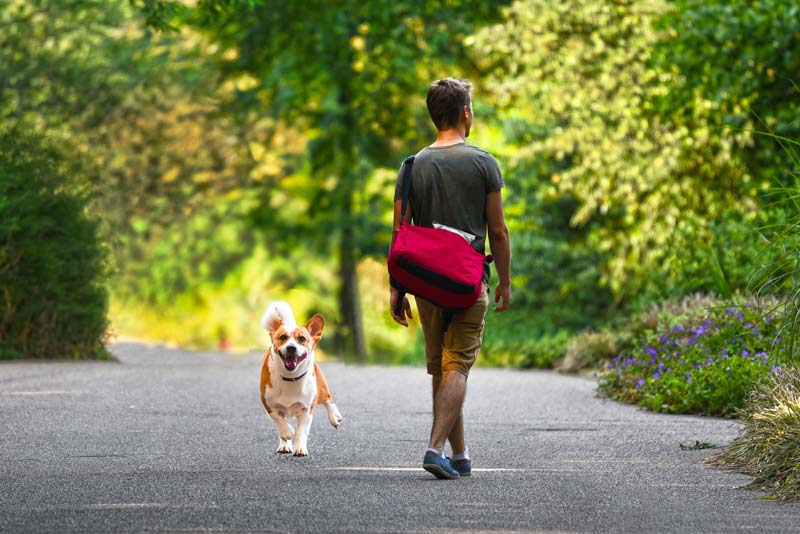 Tjejen blev bortskrämd av en hund